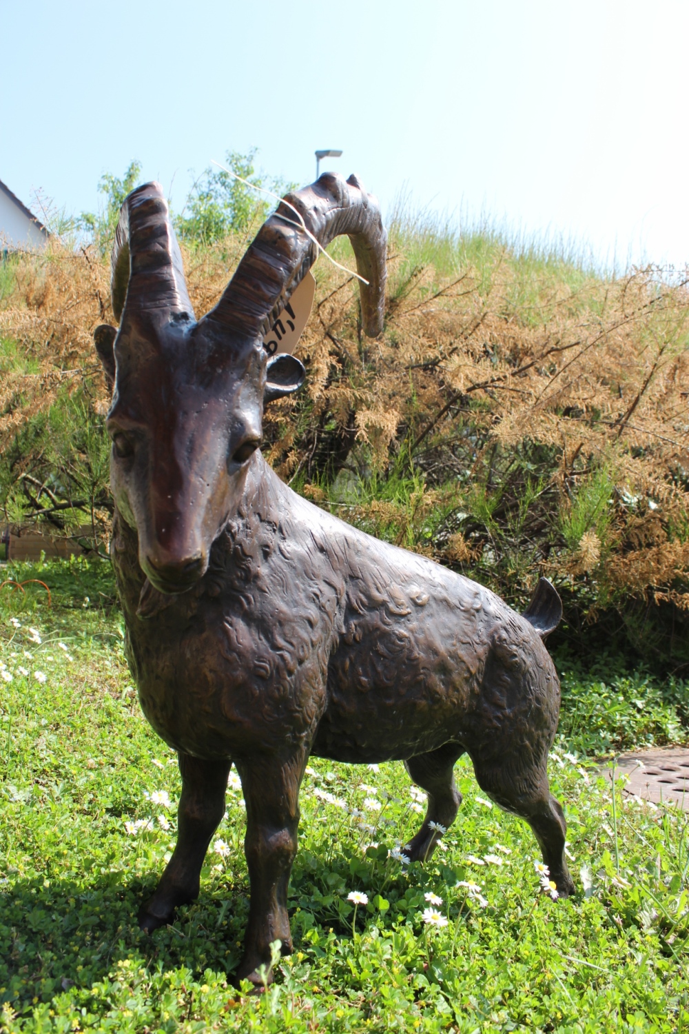 Bronzefigur / Bronzeskulptur Steinbock  freistehend