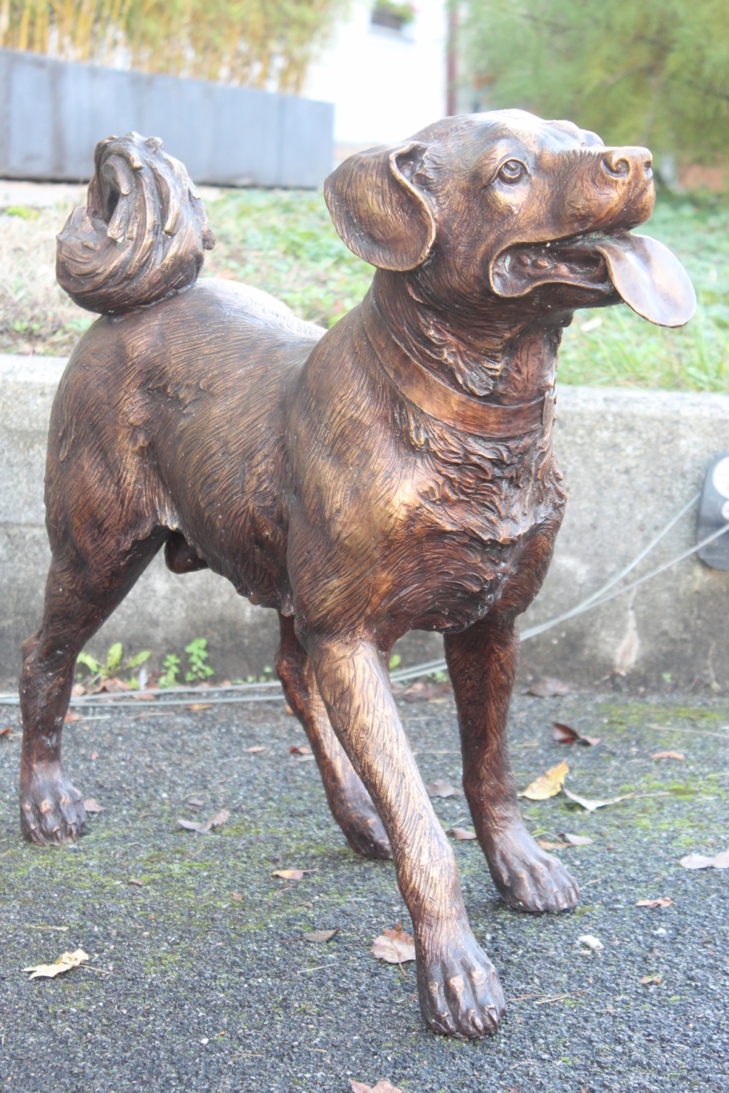 Bronzeskulptur Hund
